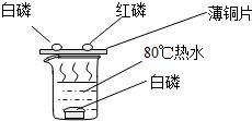 化學常識辨析 食品保鮮、分子運動與氣體安全